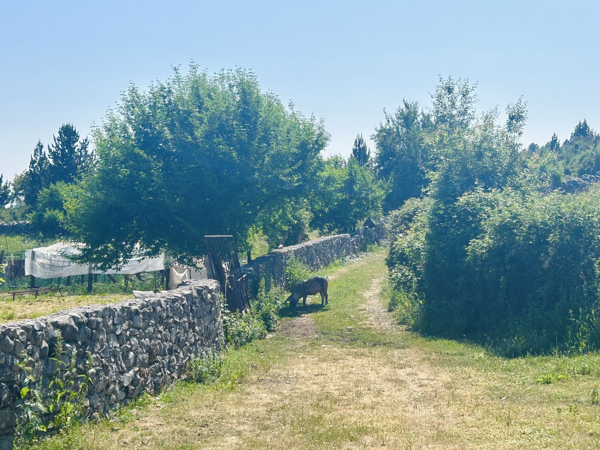 Razma Mountain Wellness-Retreat voor Lichaam-Geest-Harmonie