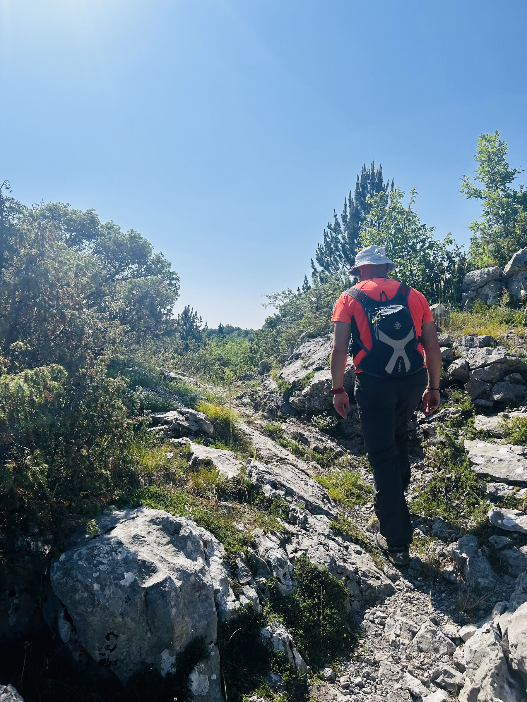 Razma Mountain Wellness-Retreat voor Lichaam-Geest-Harmonie