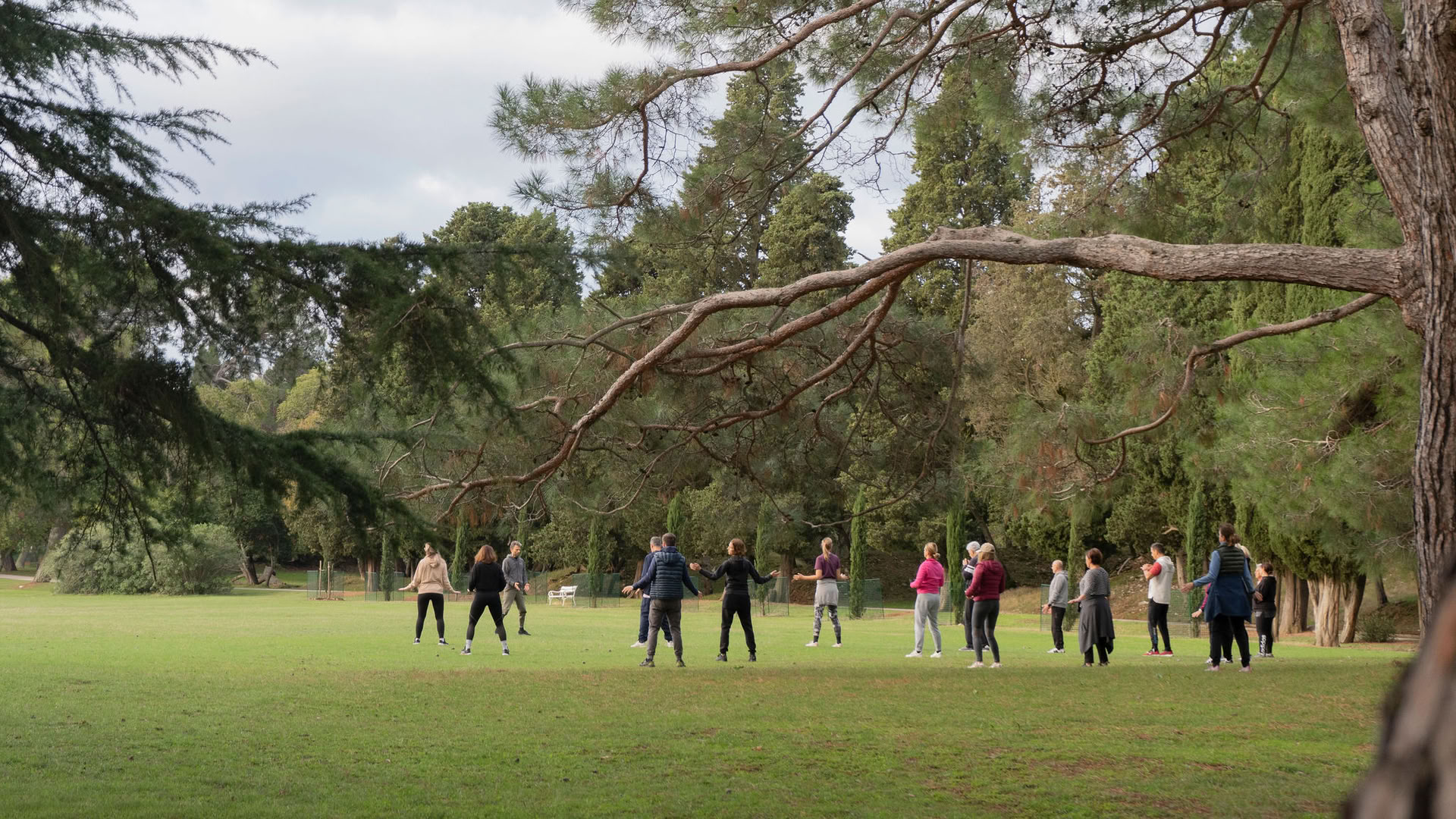 Retreat Vitaliteit