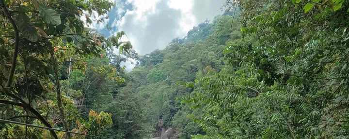 Ziplinen over de Pacuare-rivier