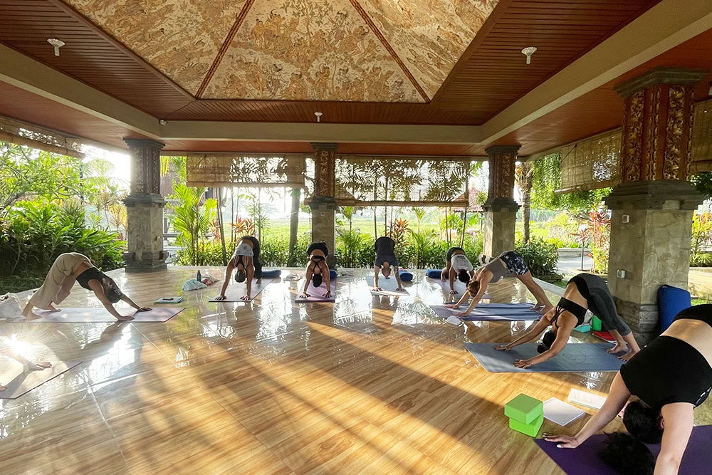 200-uurs Ashtanga Vinyasa Yoga-docentenopleiding Bali