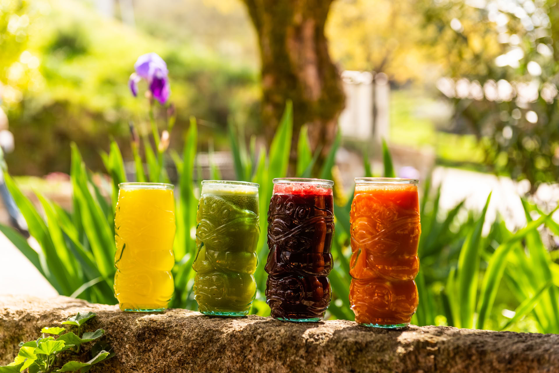 5-daagse reset voor gezondheid en levensduur