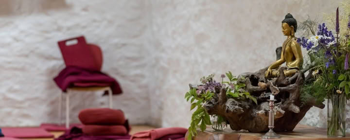 wildzwemmen, belichaamde beweging en meditatie