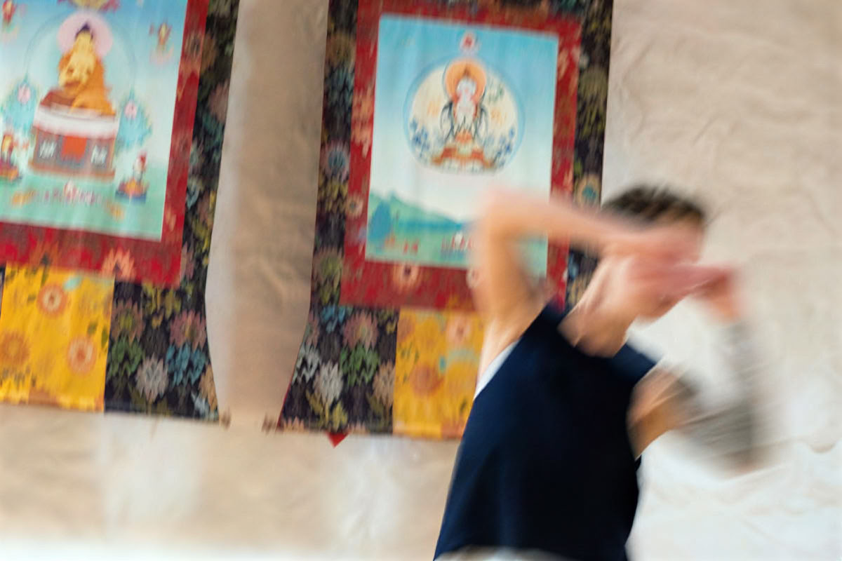 dhyana en inzicht
