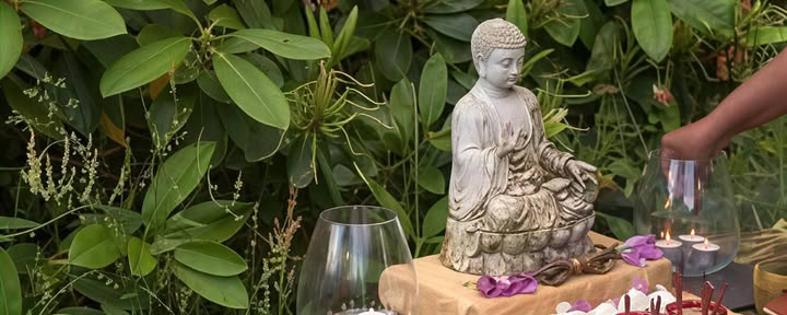 Qi Gong en meditatie