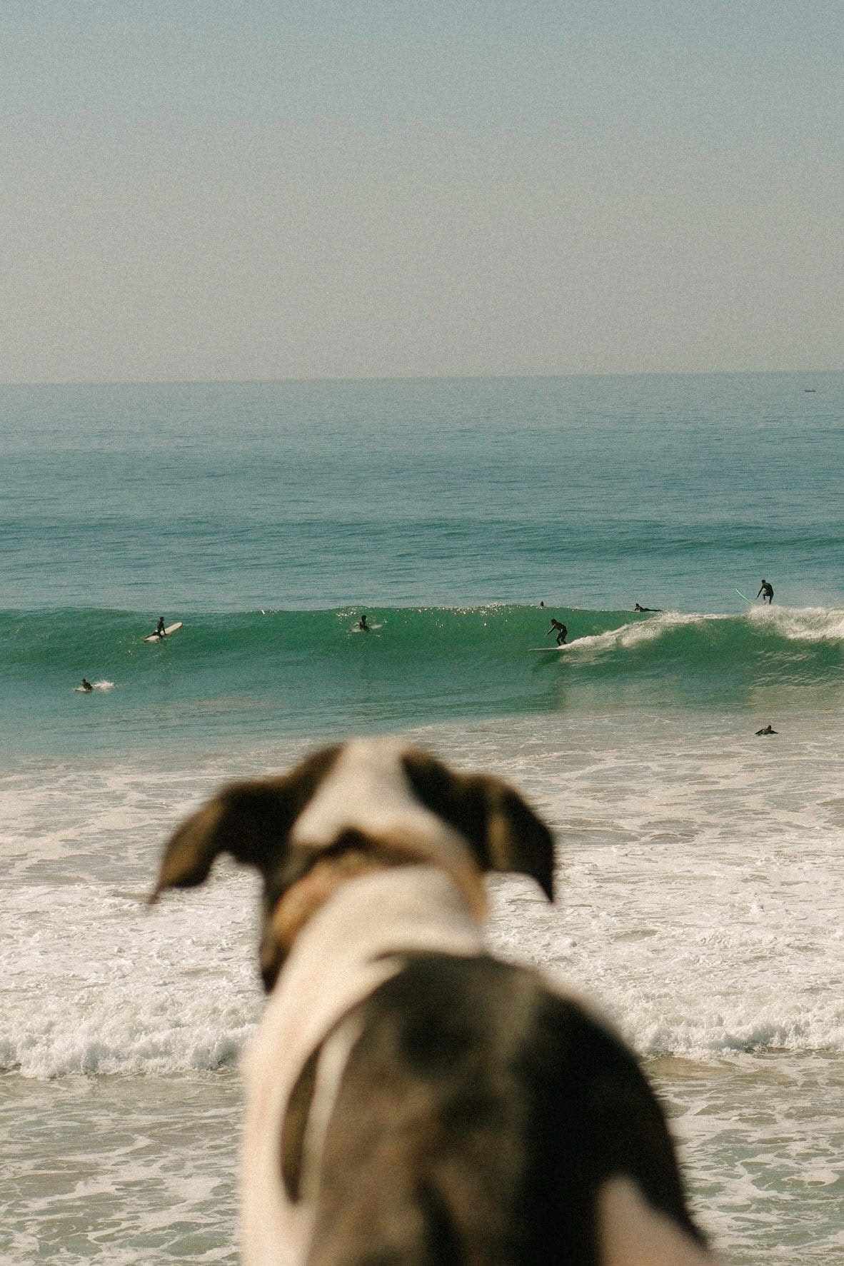 Werk, Surf & Verblijf