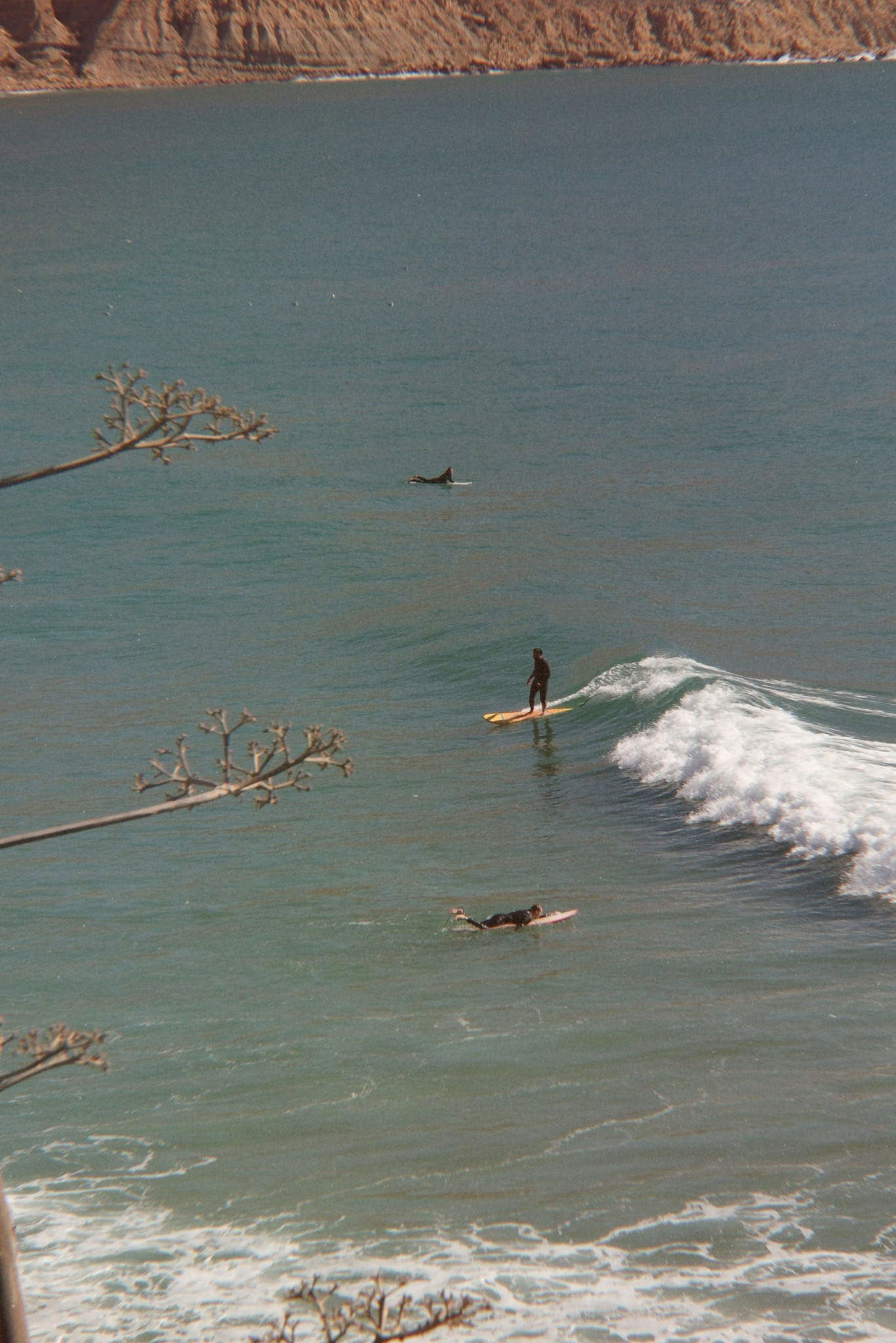 Werk, Surf & Verblijf