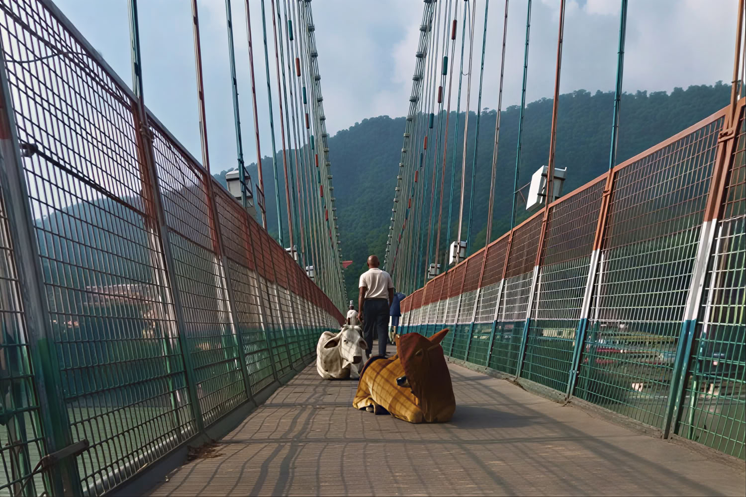 3-daagse yoga-retraite