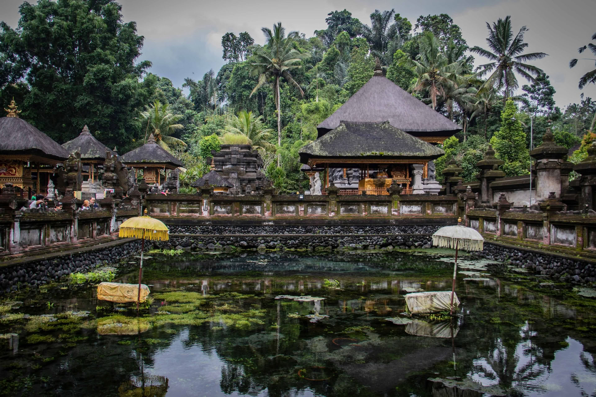 Ontdek de wonderen van Noord-Bali