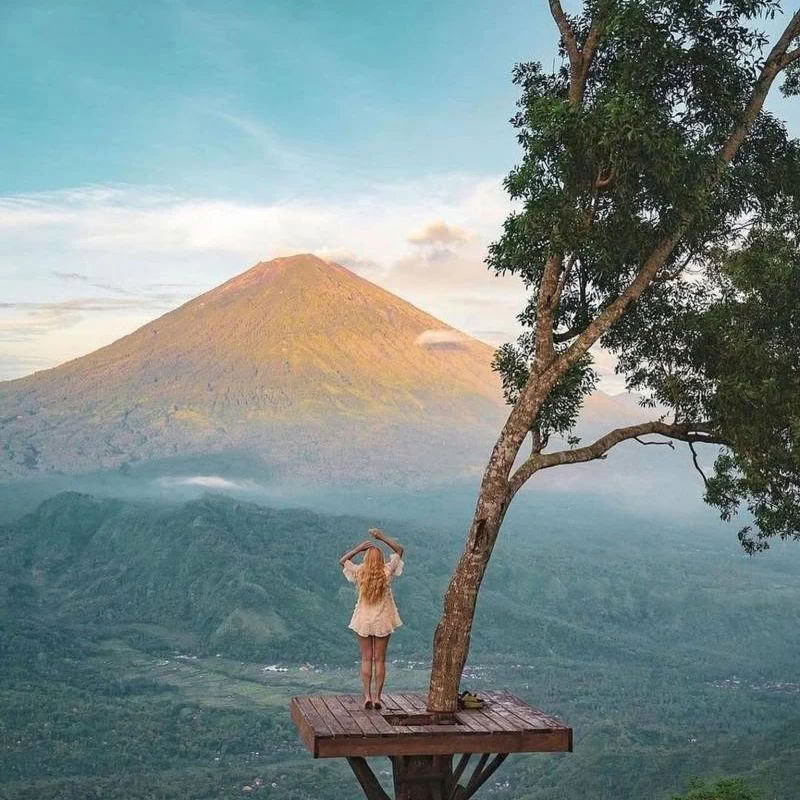 Ontdek de wonderen van Noord-Bali