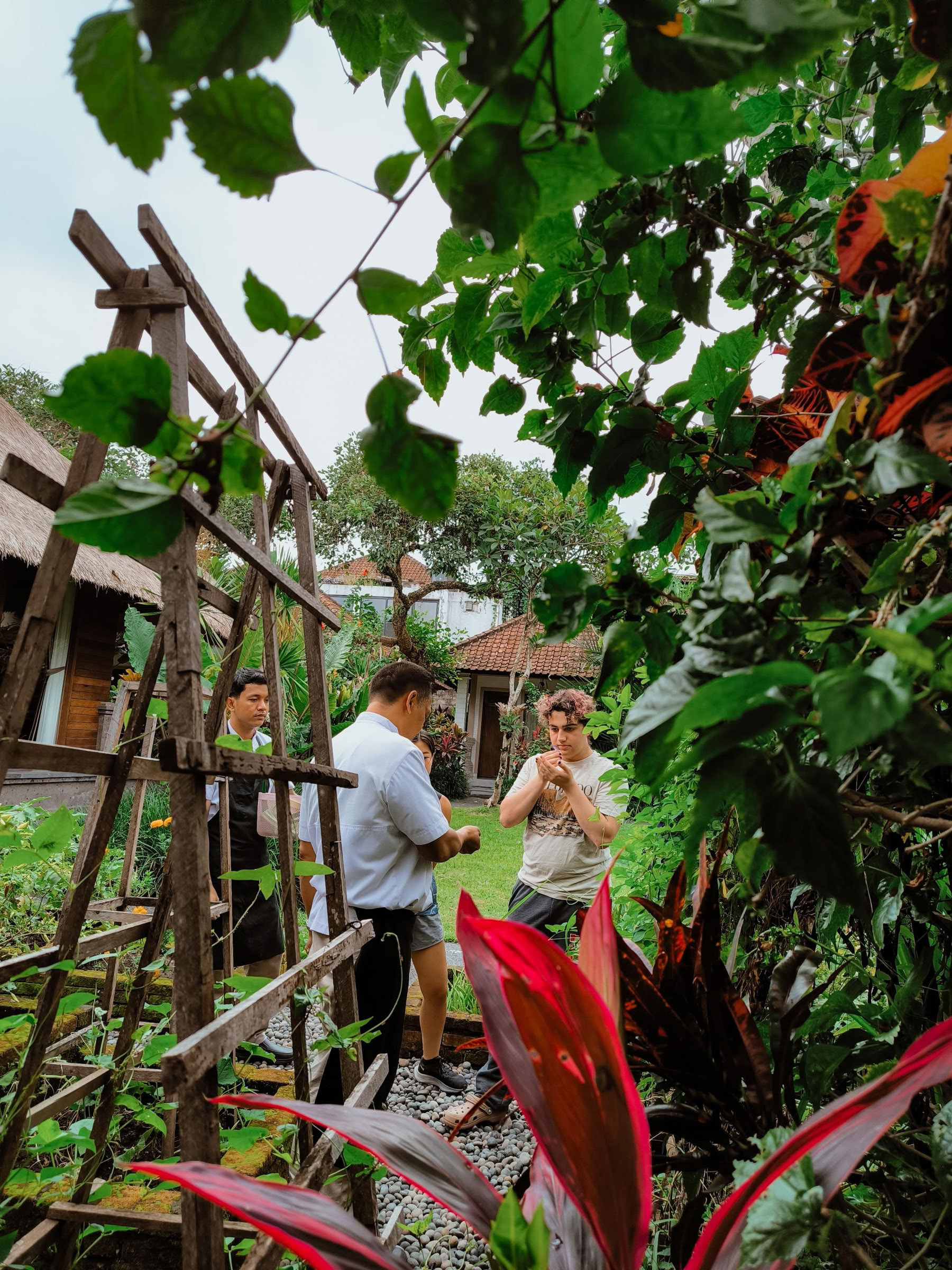 Ontdek de wonderen van Noord-Bali