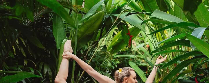 300 uur yoga-docentenopleiding
