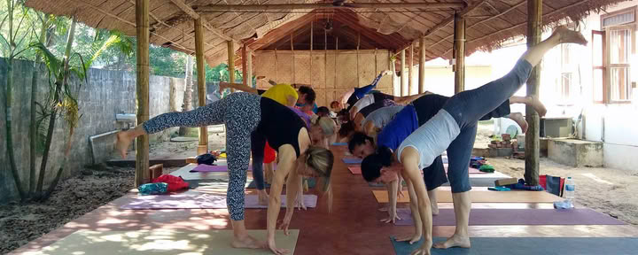 8-daagse wellnessretreat aan het strand met Ayurveda, yoga en zenmeditatie in Alleppey, Kerala