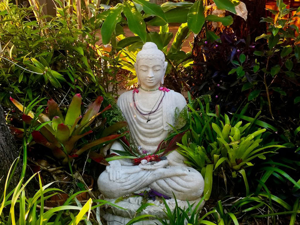 Stralend Yoga-Retraite