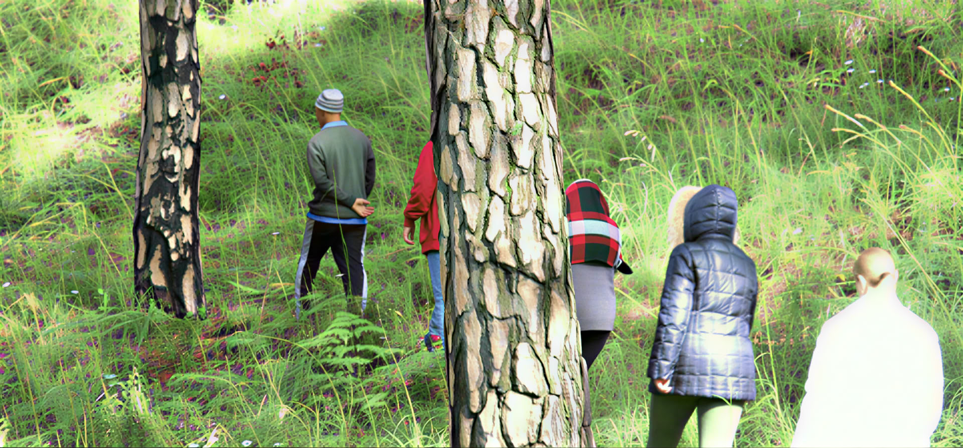 150 uur durende meditatiecursus