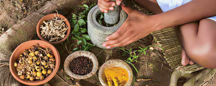 Ayurvedacursus in Rishikesh
