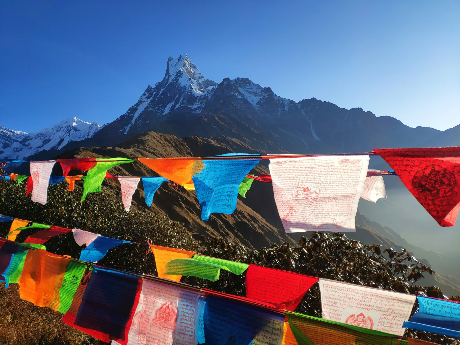 200-uurs yogadocentenopleiding in India