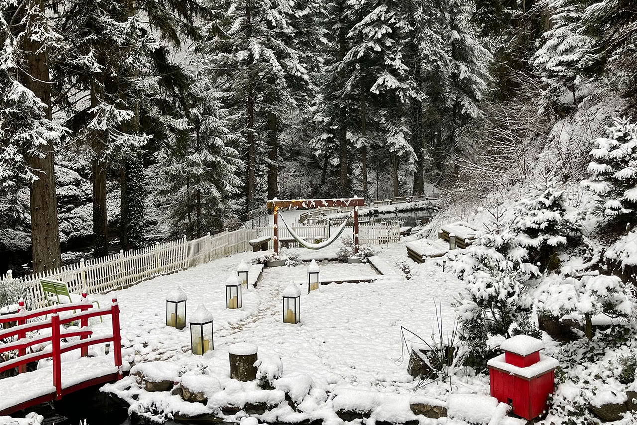 Intensieve yoga- en wellnessretreat in de Franse Alpen