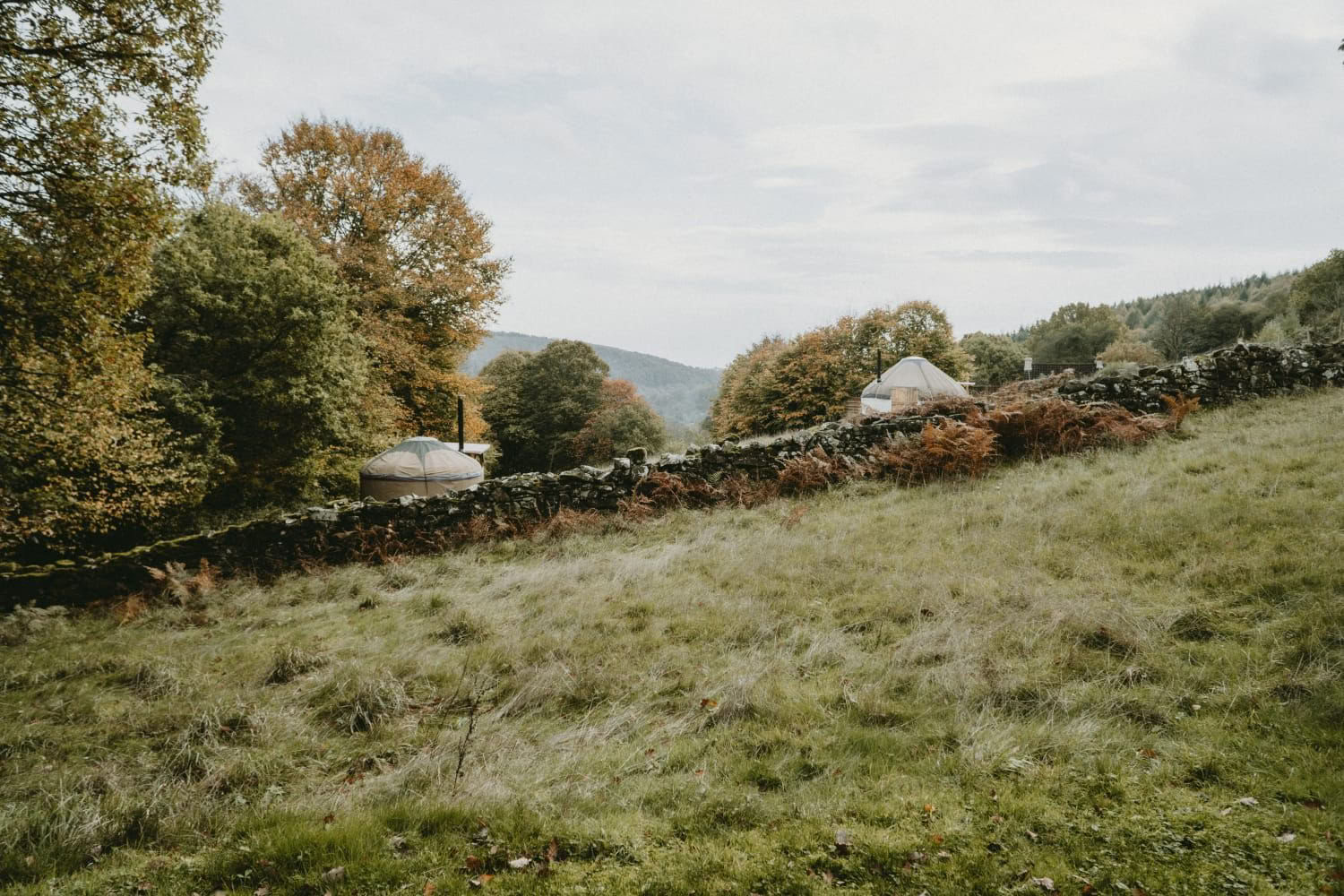 Herfst Yoga- en Welzijnsretreat