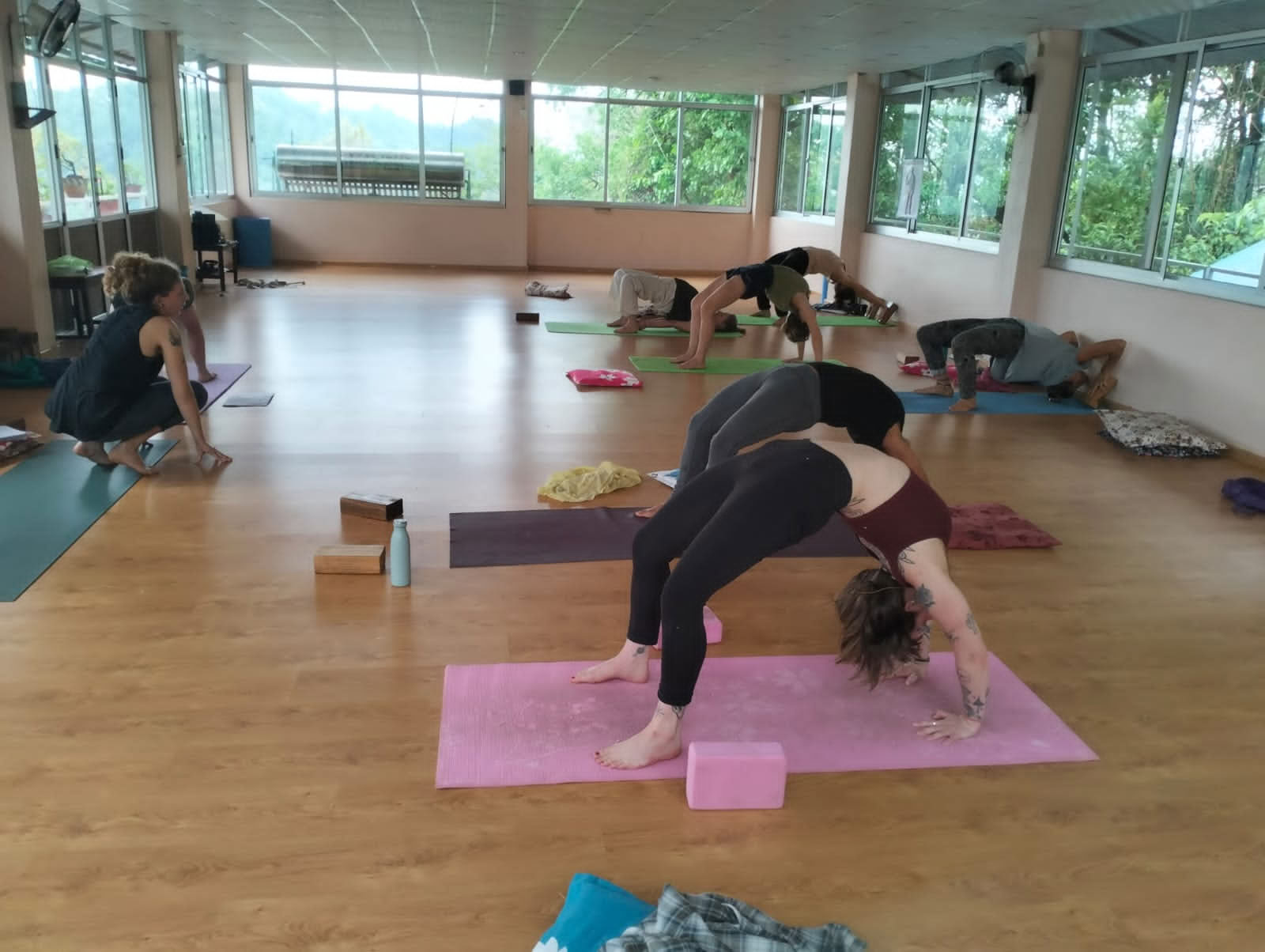 Aerialyogacursus