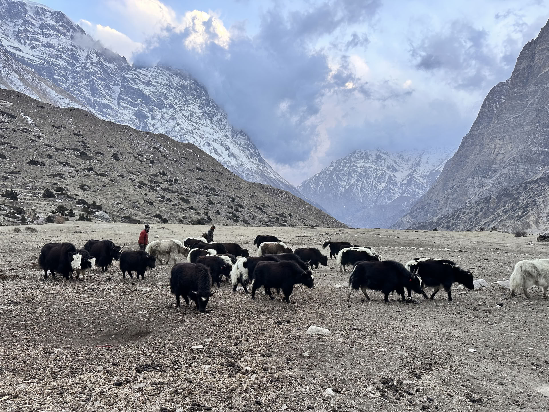 Yoga-trek over de Annapurna Circuit met Tilicho-meer