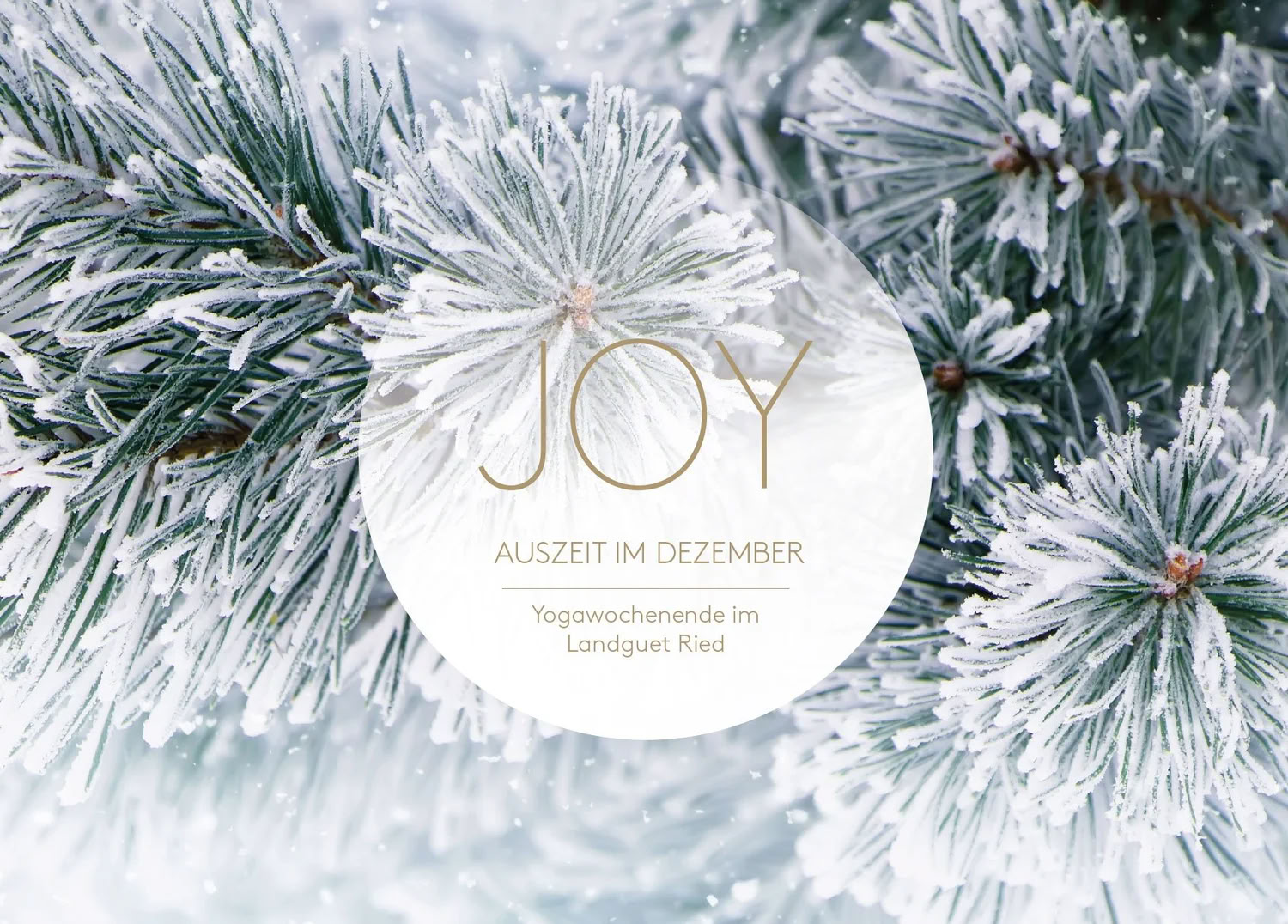 Yoga-pauze in december | met Joy Yoga — Landguet Ried, centrum voor mindful leven | retraitecentrum & seminarhuis