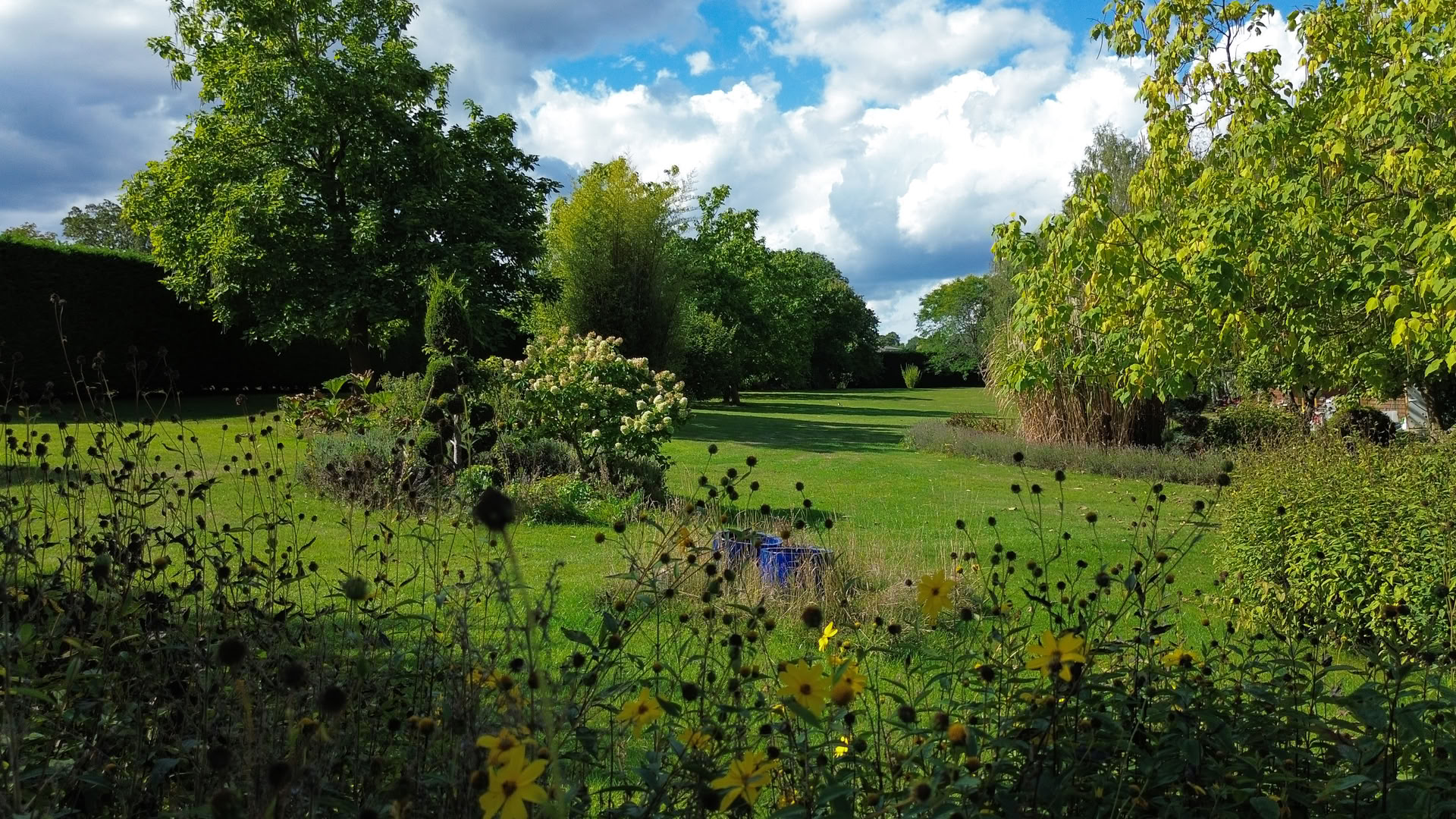 Diep Reinigende Gezichtsbehandeling