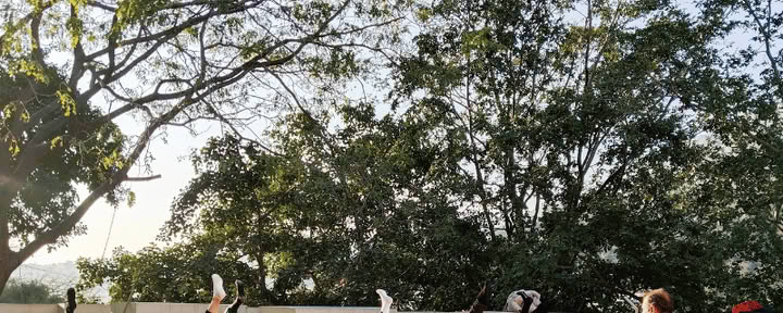 21-daagse alternatieve therapiecursus in Rishikesh