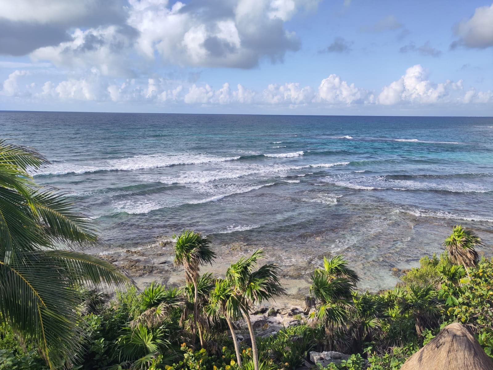 10 dagen oceaan flow yoga en excursies in de Mayajungle