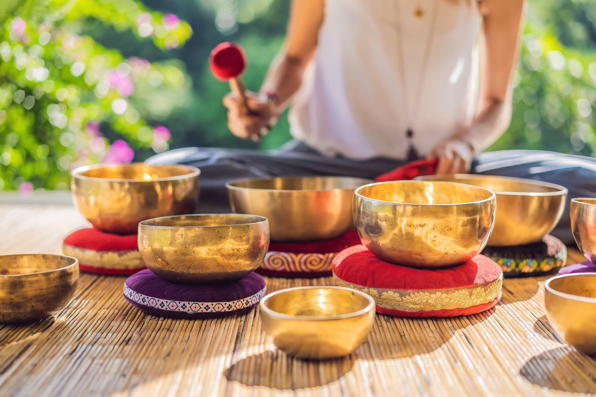 Ayahuasca & Iboga (Vitaliteitsretreat)