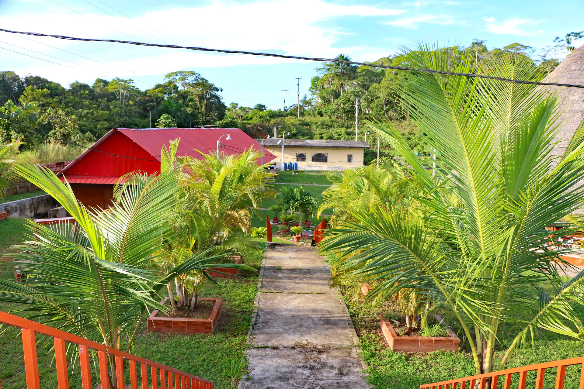 Ayahuasca & Iboga (Vitaliteitsretreat)