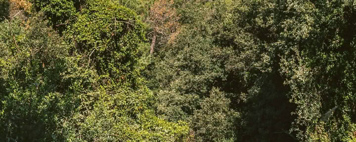De landschappen ontdekken bij elke stap
