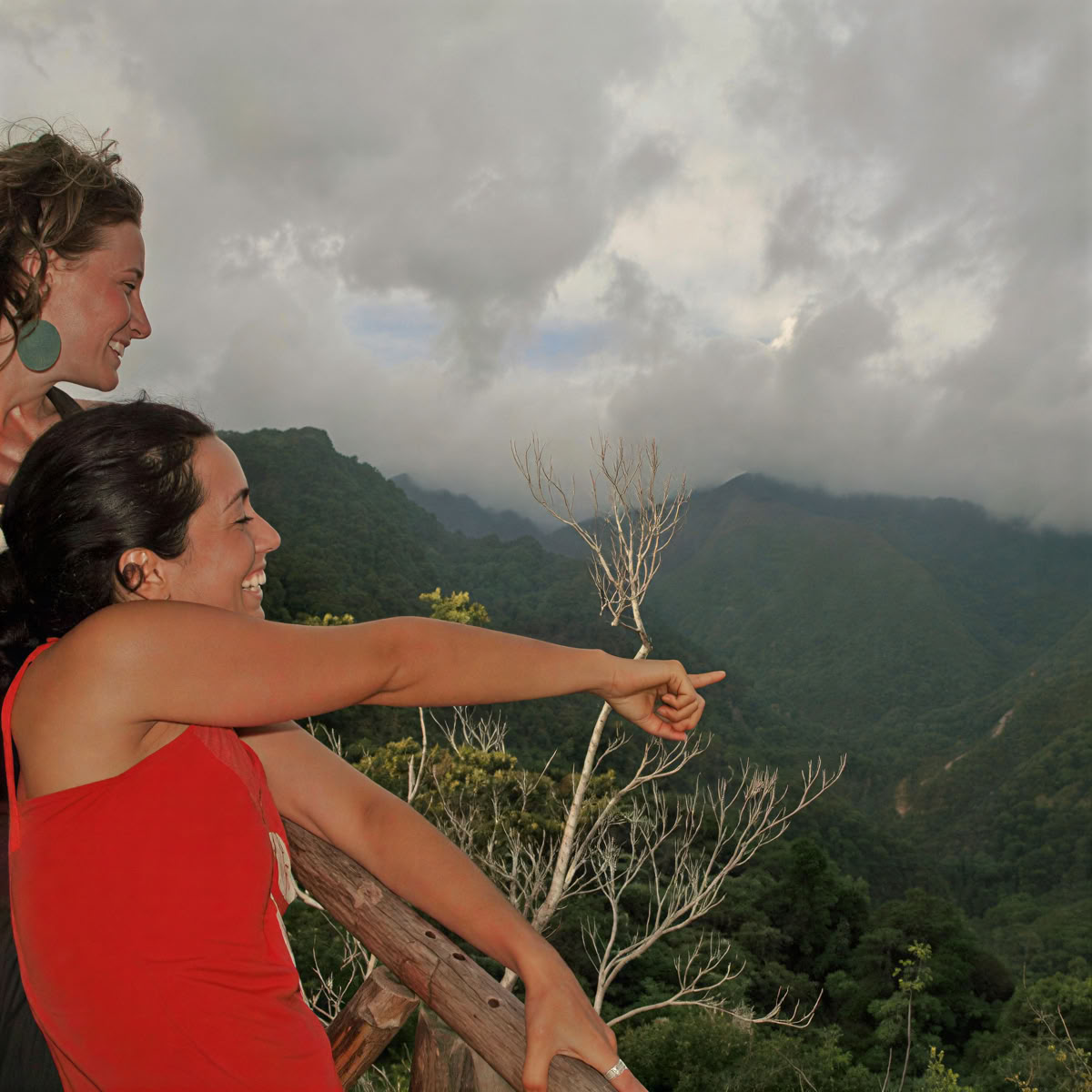 Mindfulness en yoga in de natuur