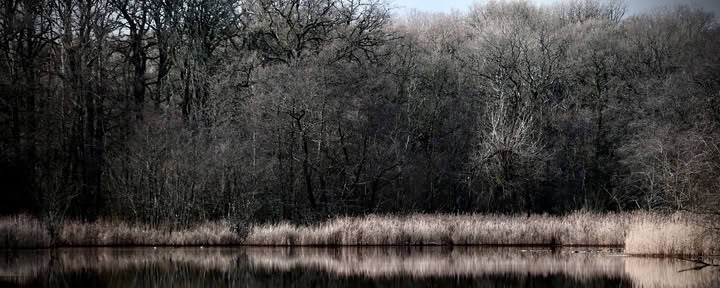 Wild weekend – goed de winter doorkomen