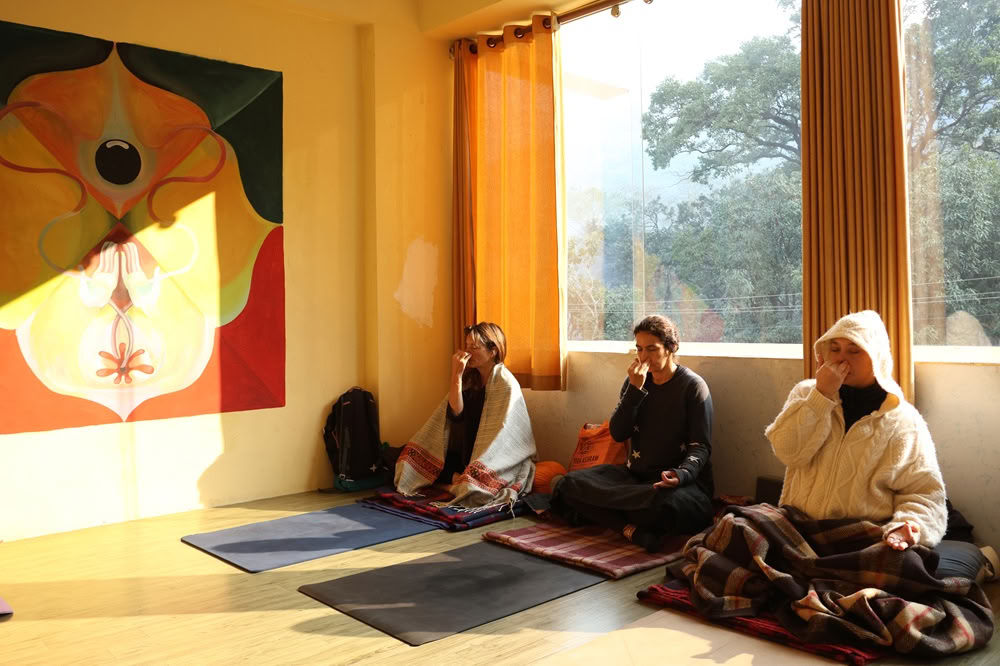 100-uurs yogadocentenopleiding in Rishikesh, India