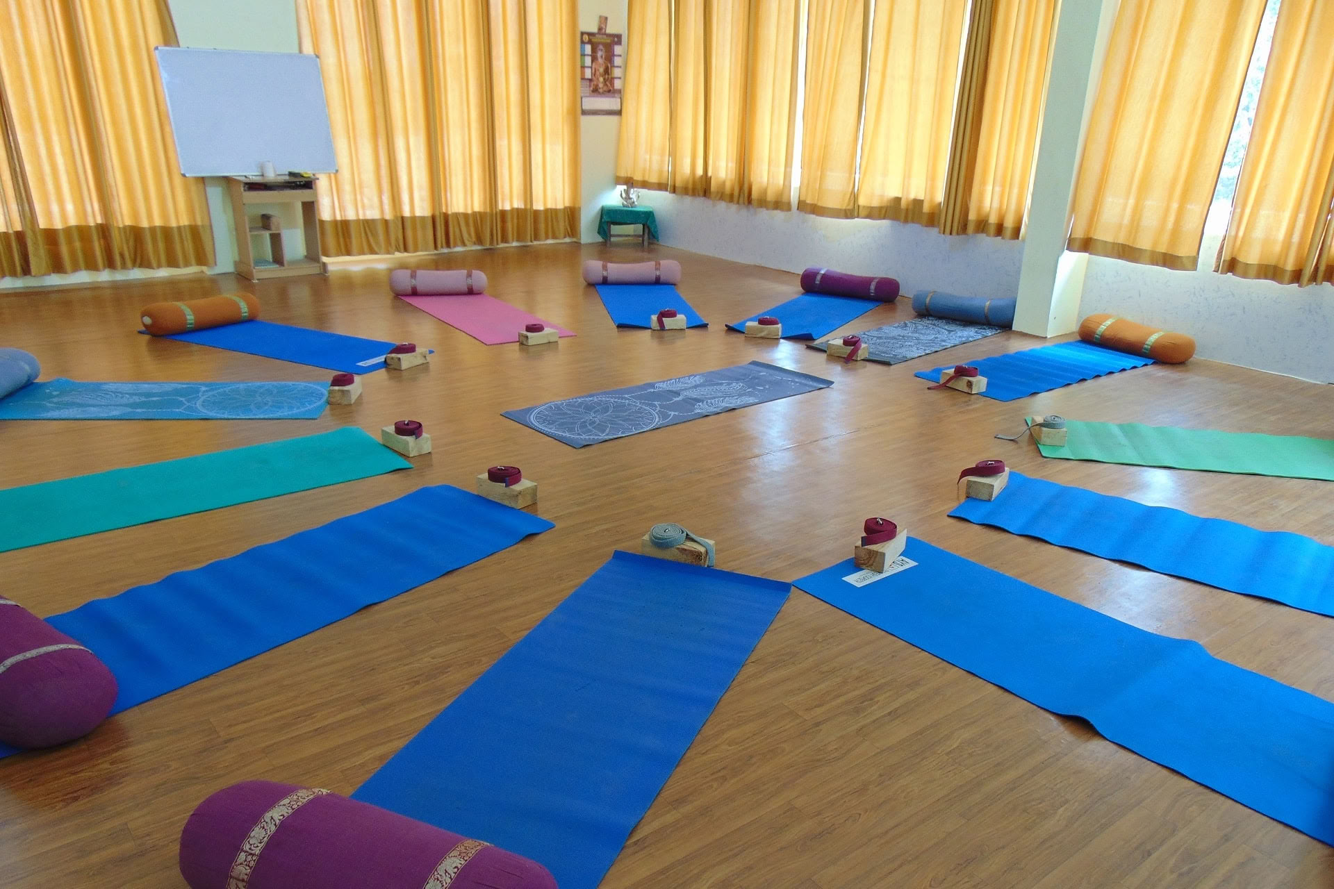 6-daagse Yin-yogacursus in Rishikesh
