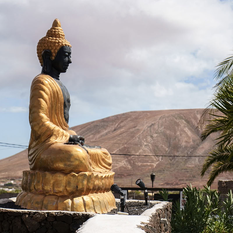 Pre-kerst Flow & Glow-retreat