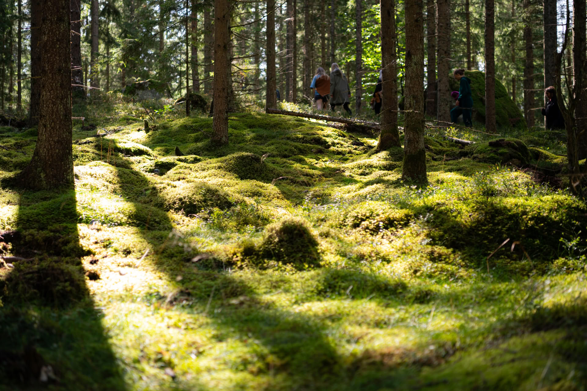 NOR: yogaretreat in Zweden