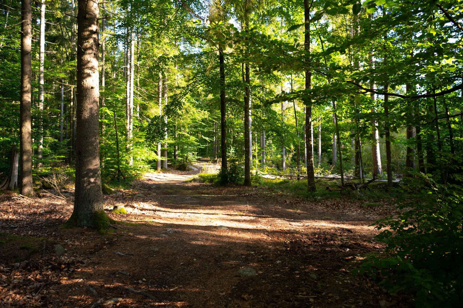 NOR: yogaretreat in Zweden