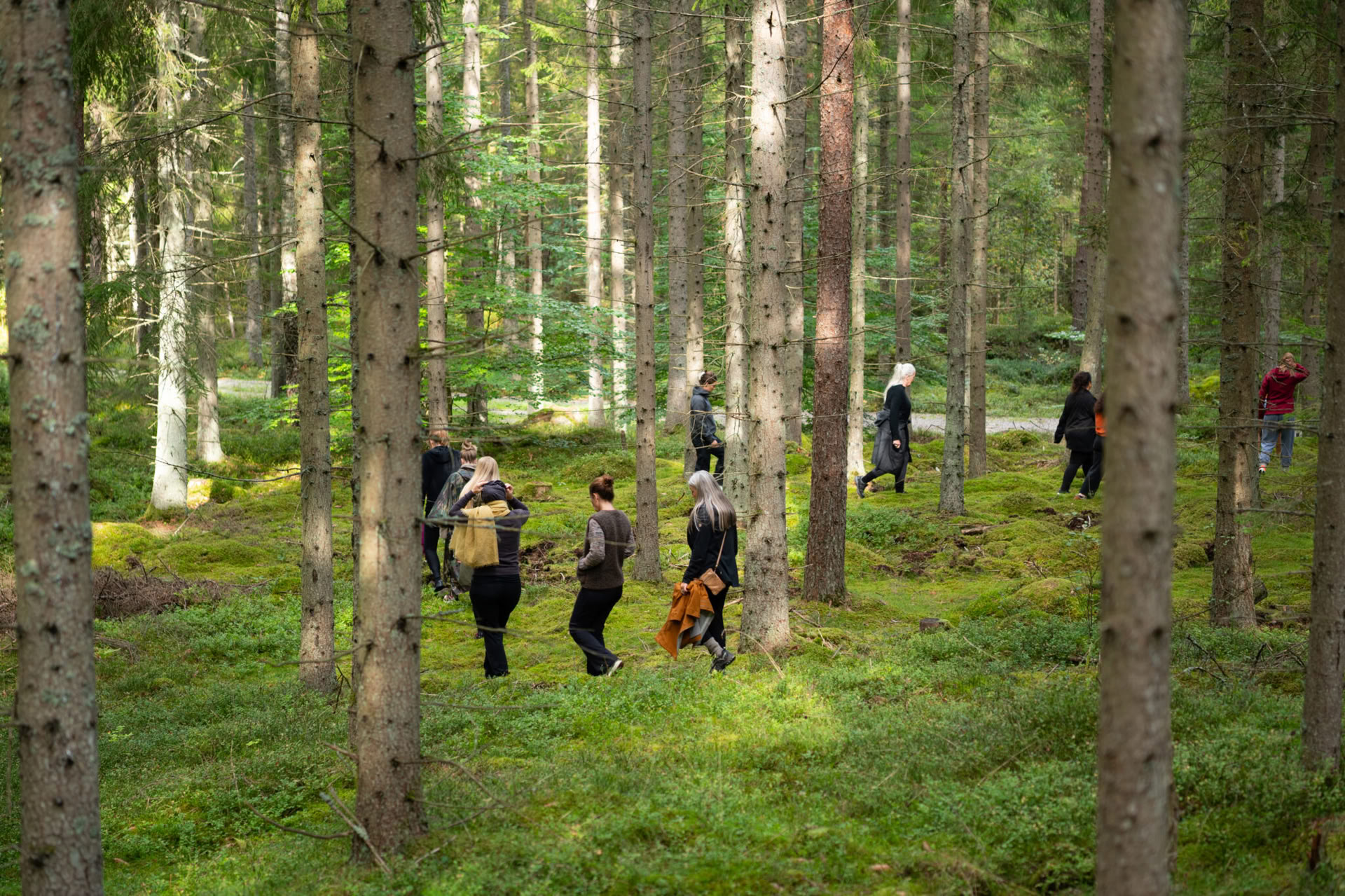 NOR: yogaretreat in Zweden