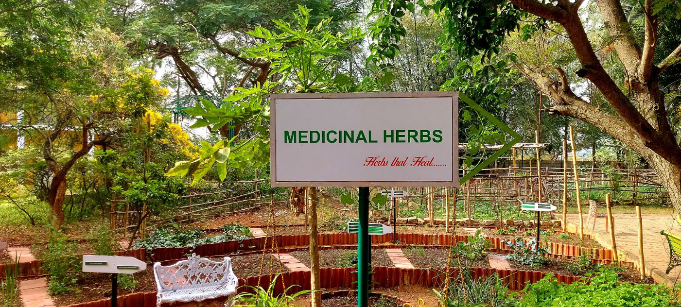 Ayurvedische kookcursussen