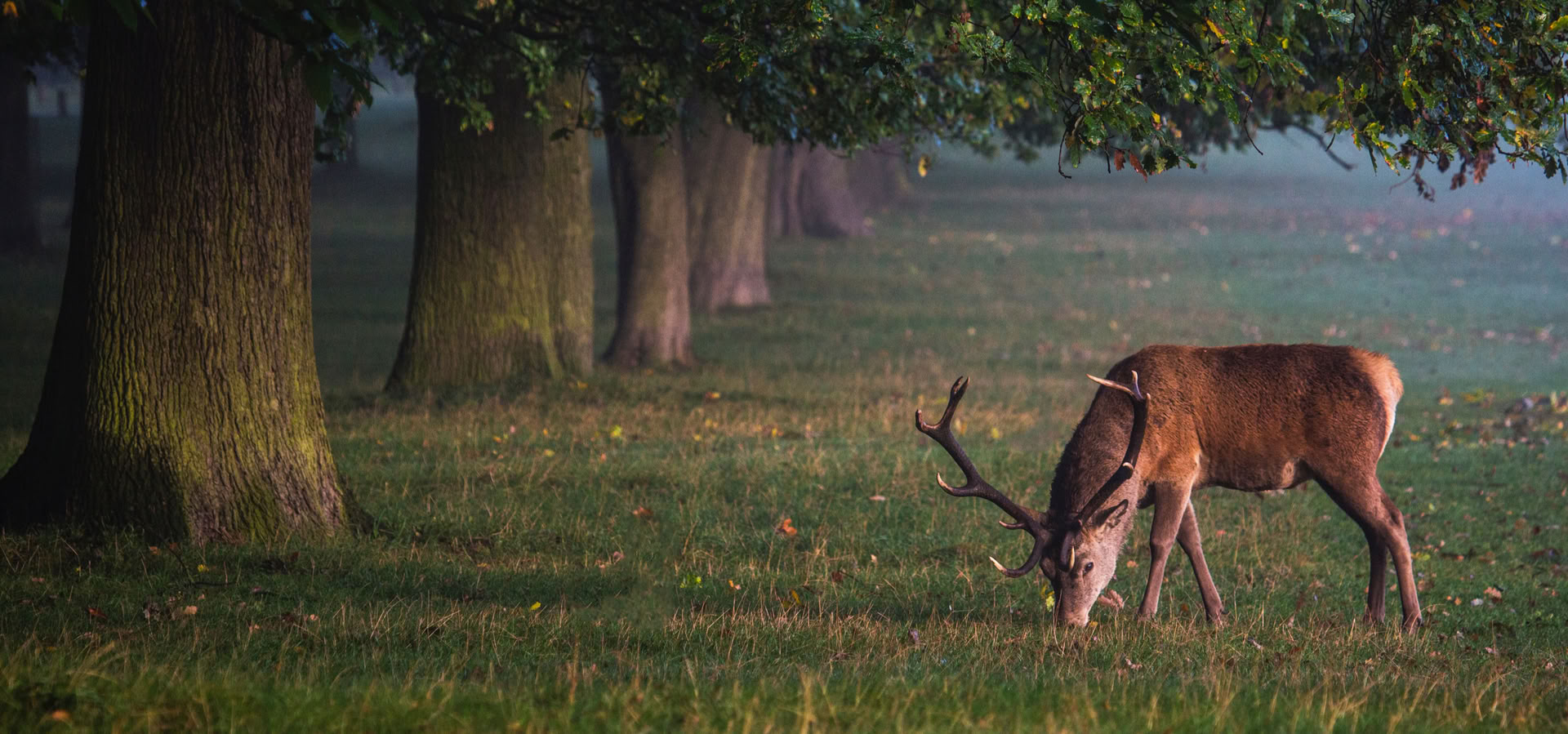 Retreat voor heling van binnenuit