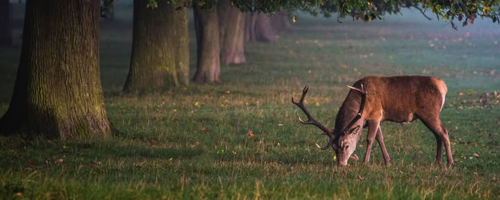 Retreat voor heling van binnenuit