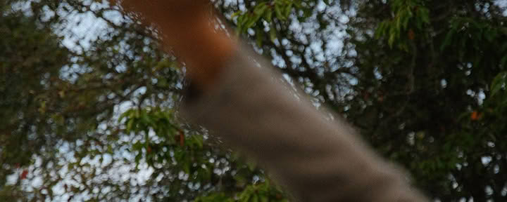 Yoga-retreat & meditatiecursus Soul 1