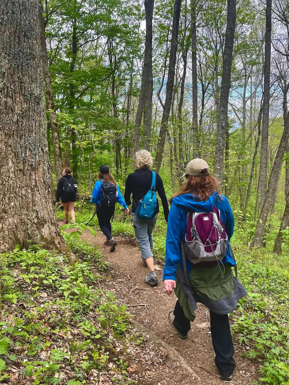 Natuur & Gelukzaligheid – Yogaretreat in North Carolina