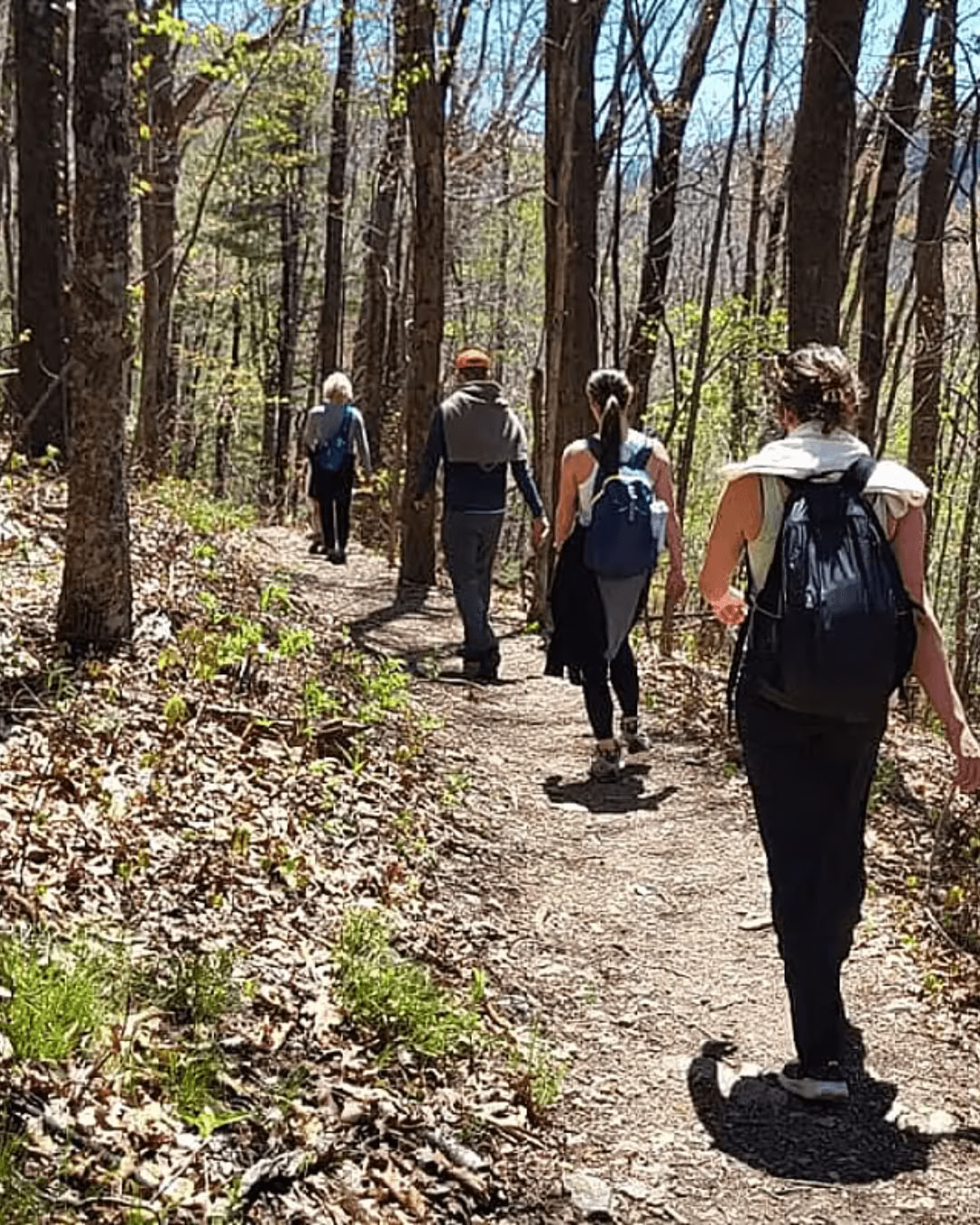 Natuur & Gelukzaligheid – Yogaretreat in North Carolina