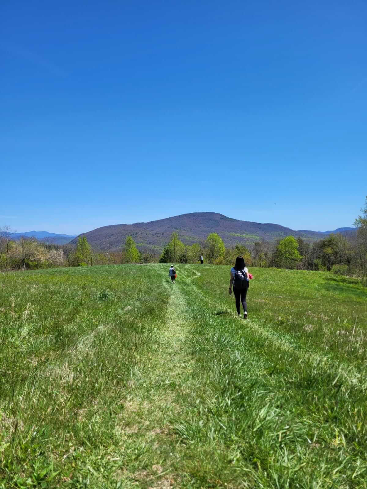 Natuur & Gelukzaligheid – Yogaretreat in North Carolina