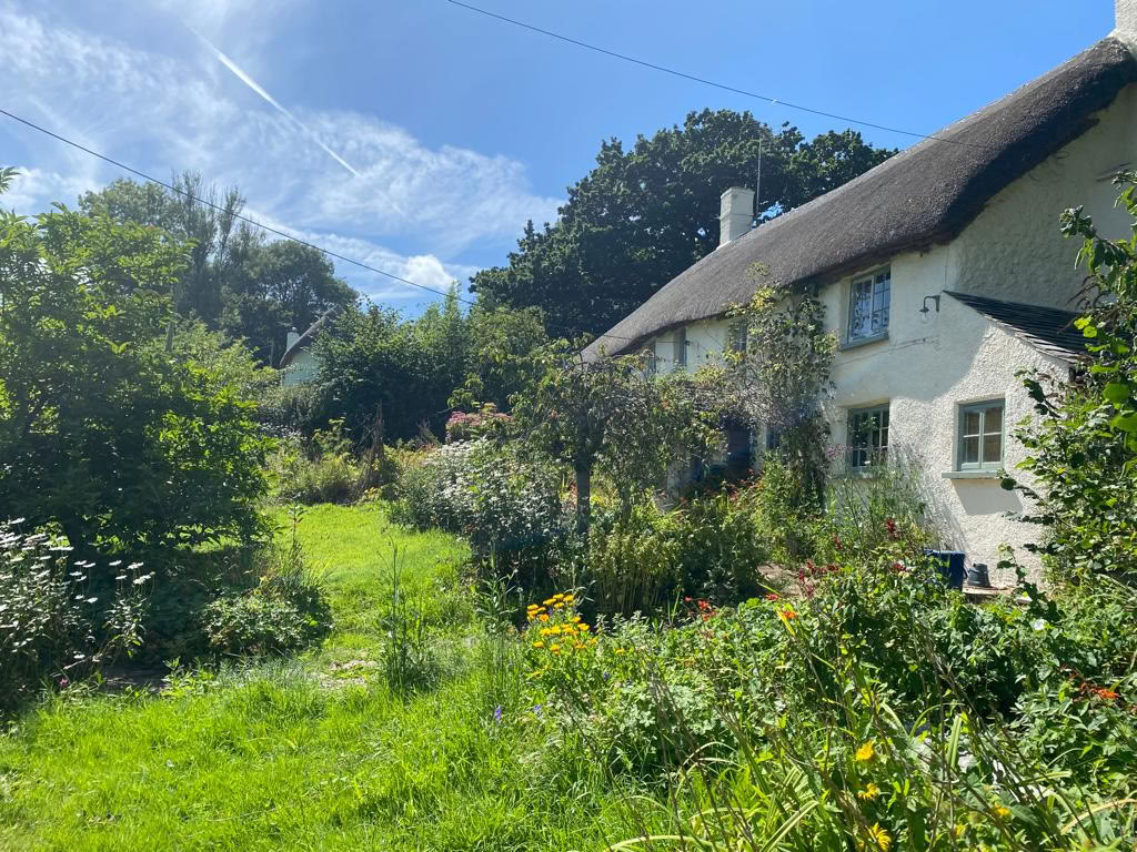 Voedende & Verkwikkende Yogaretreats