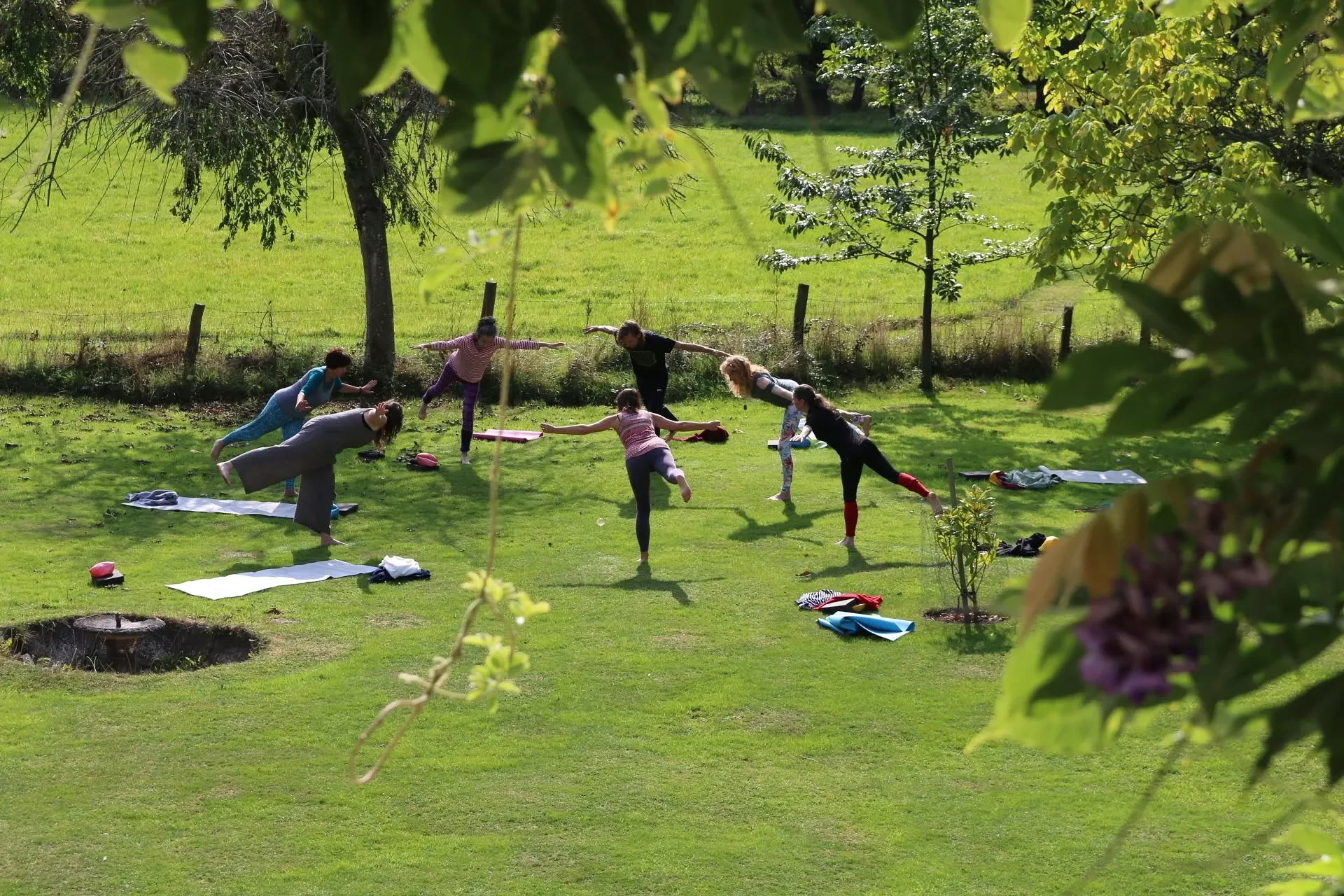 Yoga-retraite in Slovenië: boswandelingen, uitzicht op de bergen en uitstapjes naar de stad Ljubljana en de wilde Logarvallei