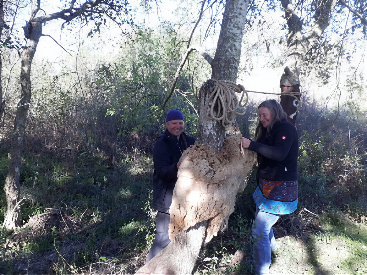 Essentiële overleving in de wildernis